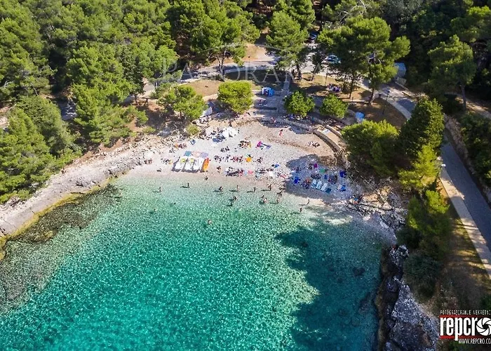 Oliva - Free Parking 普拉